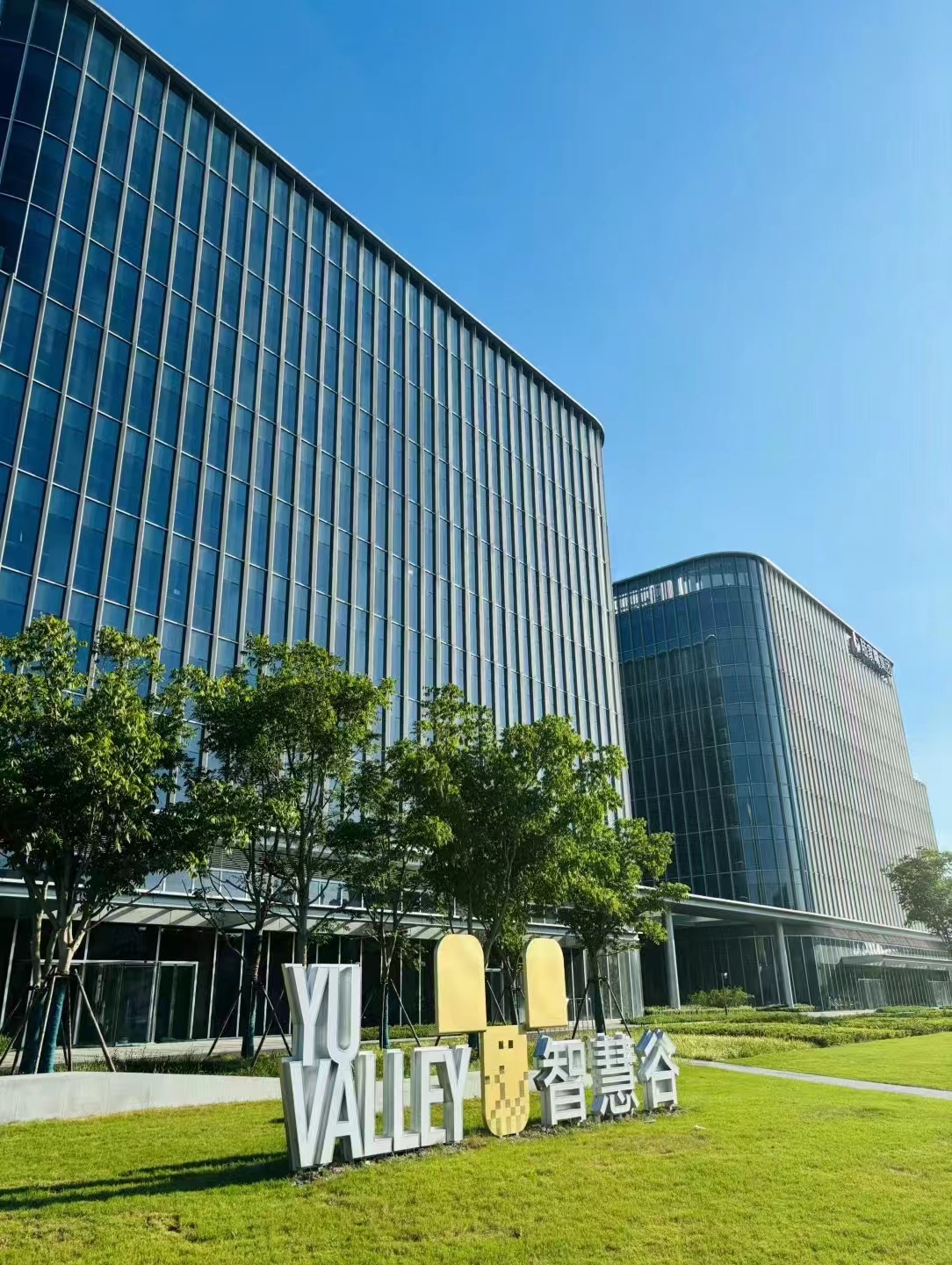 帮助信息网络犯罪取保后后续流程